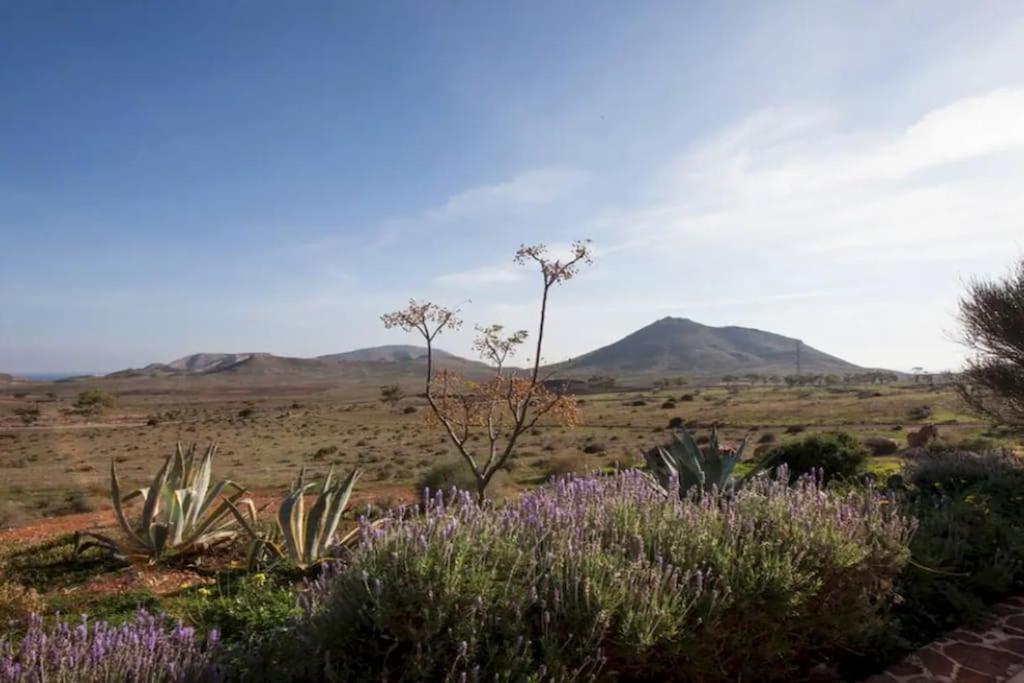 El Risco Colorado, Cabo De Gata Vila Rodalquilar Exterior foto